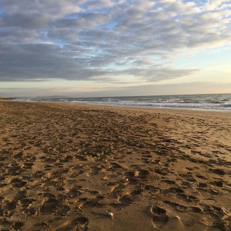 Port Nature 3 Agde Bagian luar foto